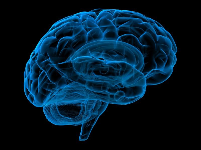 Cirurgia cerebral em Criciúma
