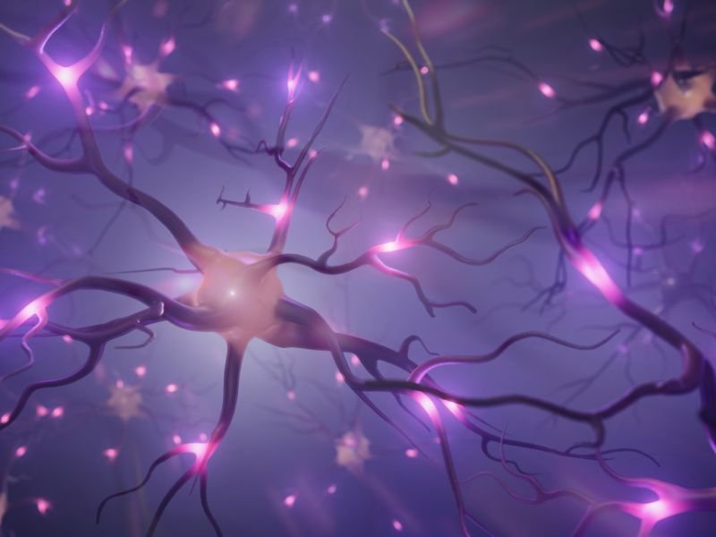 Cirurgia de epilepsia em Tubarão, SC