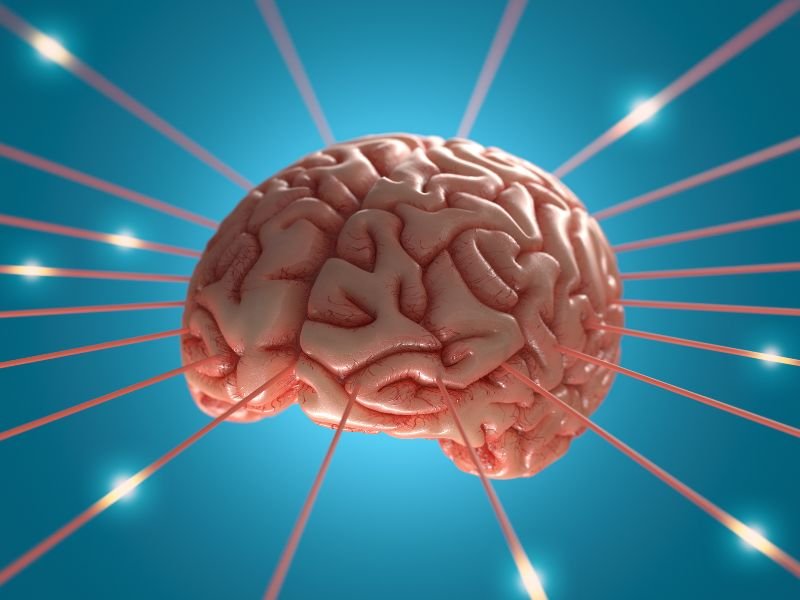 Cirurgia de tumor cerebral em Criciúma