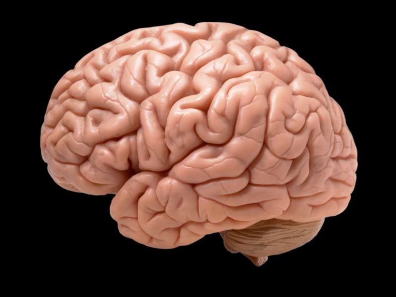 Consultório de neurocirurgia em Tubarão, SC