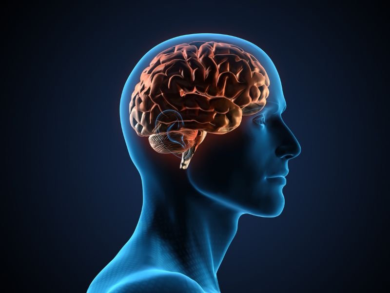 Neurocirurgia Unimed em Tubarão, SC