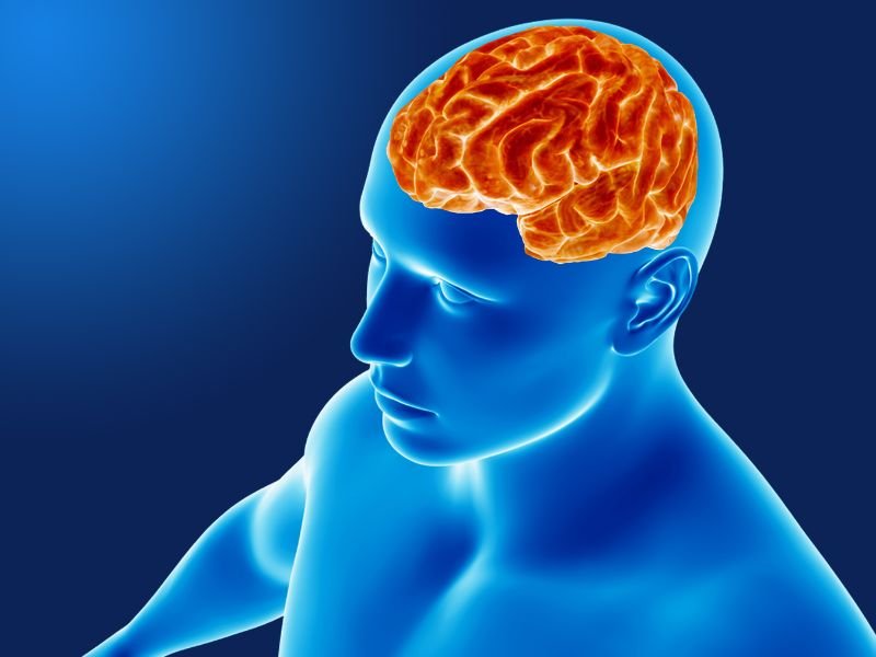 Neurocirurgião em em Tubarão, SC