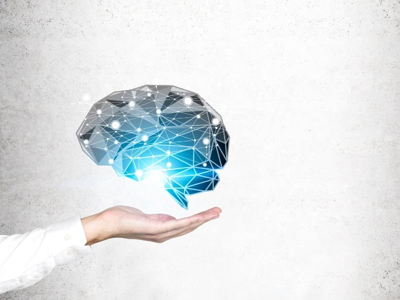 Tratamento de Aneurisma Cerebral em Tubarão, SC